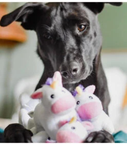 ZP908 Jouet En Peluche Interactif Arc En Ciel Et Licorne Zippy Paws -Animaux Amour Promos Boutique zp908 jouet en peluche interactif arc en ciel et licorne zippy paws 2